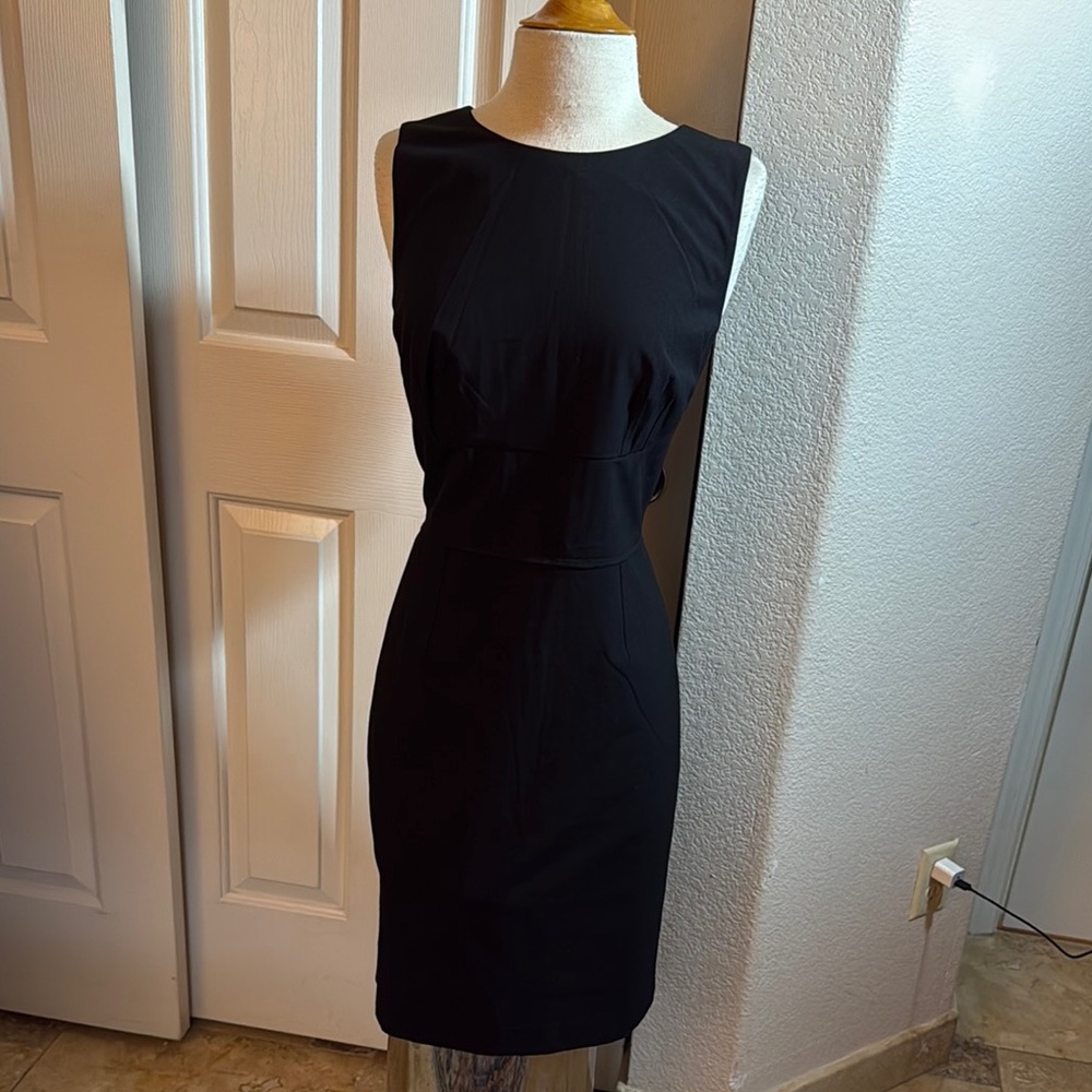 Elegant Black Sleeveless Dress